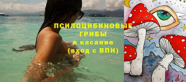 PSILOCYBIN Вяземский