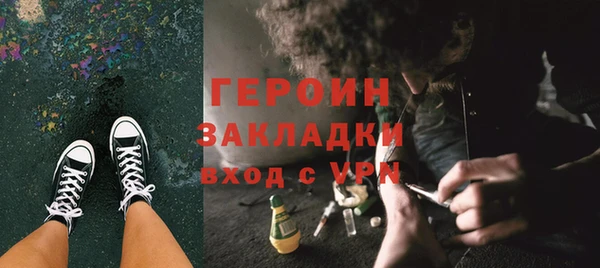 PSILOCYBIN Вяземский