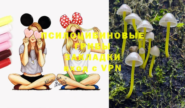 PSILOCYBIN Вяземский