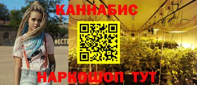 СК Краснознаменск