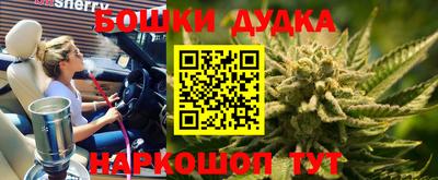 СК Краснознаменск