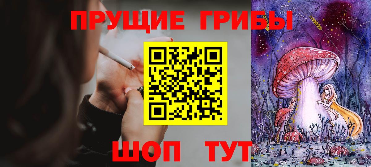 Псилоцибиновые грибы Cubensis Назарово