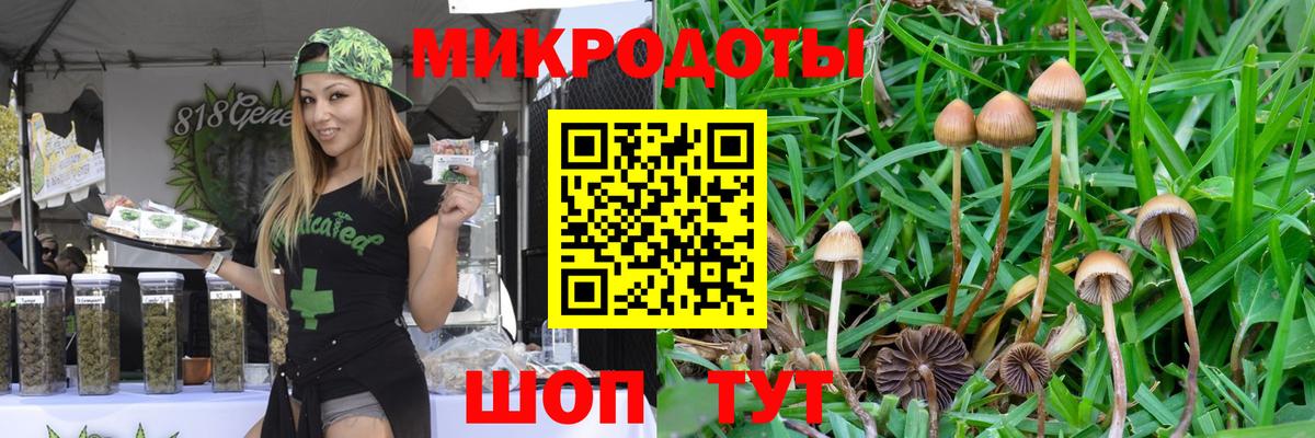 Назарово  Галлюциногенные грибы Cubensis  Вход с VPN 